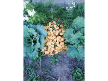 IMG 20190831 184514.jpg