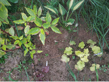 IMG 20190908 103914.jpg