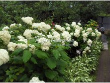 ��������� ����������� ������� �2 260�