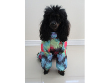 70336477 2939638212719004 1079272960193200128 n.jpg