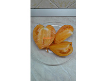 ��������� ������ (������ ���)