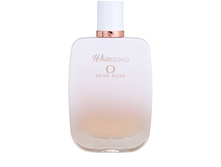 WHITE SONG DEAR ROSE � � 100 �� 5400+%+����