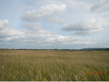 DSCN1592.JPG