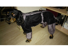 ����������� viber 2019-09-23 18-40-56.jpg