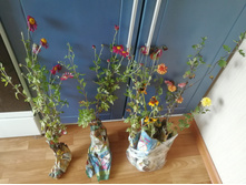 ��� ���������� �� ����� �������