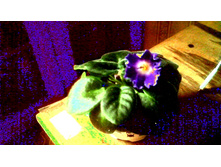 DS-������� �����������