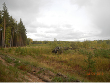 DSCN2433.JPG