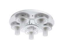 424010905 8500�.jpg