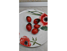 ������� �� ��������