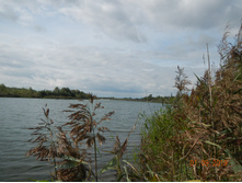 DSCN1557.JPG