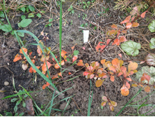 IMG 20190908 104116.jpg