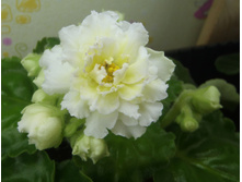 ��-������ ����������.jpg