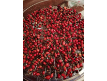 IMG 20190904 225356.jpg