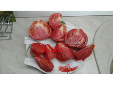 ��������� ����� - �������� �� ������� � ��� �����