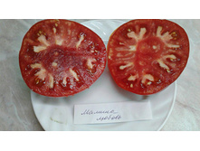 ������ ������