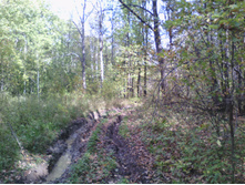 IMG 20190915 124704.jpg