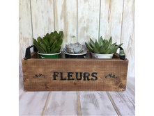 ���������� ����