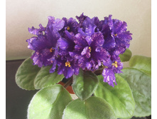 ��-���� ��������� �����������1.jpg