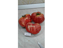 �� ����� �������������