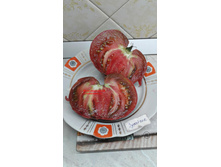 �� ������ ���������