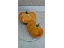 ���� ��������