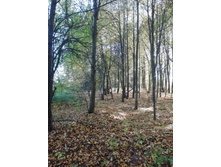 IMG 20190911 124906.jpg