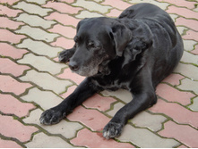 �������� 2019�. ����� 13 ���