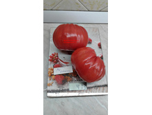 ������� �������