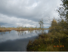 DSCN2392.JPG