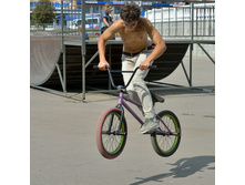 ������. 2019. ���� �.��������