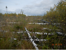 DSCN2419.JPG
