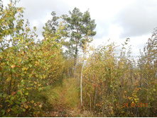 DSCN2385.JPG