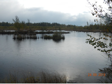 DSCN2393.JPG