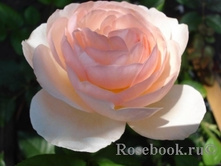 ���� Heritage ����,282��� (�������� 6��).jpg