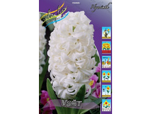 158,9 ���.������� ���� (� �������� 5��. ���� ������� �� ��������) �������� 3 ����..jpg