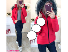1585� 42,44,46,48,50 ����.jpg