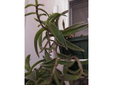 15 ������������