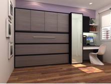 Desk-Murphy-Beds (1).jpg