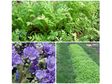 ������� ������� ����� 250 ��..- 107 ���. �������� � ����� � �������� ��� �������� � ������ ����������!!!!!