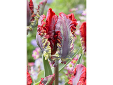 205 ���.������� ������ (���������� ����������. � �������� 10��. ���� ������� �� ��������) �������� 1 ����..jpg