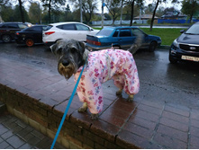 ����������� viber 2019-10-01 07-39-39.jpg