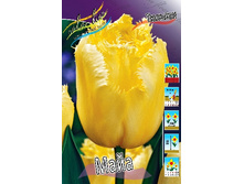 205 ���.������� ���� (���������� ����������. � �������� 10��. ���� ������� �� ��������) �������� 3 ����..jpg