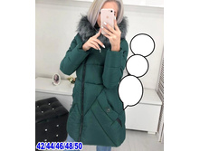 2025� 42,44,46,48,50 ����.jpg