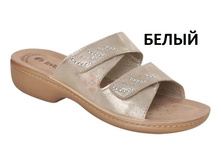 LGAPOO �����.jpg