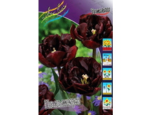 277,2 ���.������� �������� (���������� ���������� � �������� 10��. ���� �� ��������) �������� 1 ����..jpg