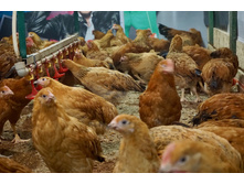 2016-02-15 13.25.04.jpeg