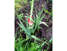 2013-05-29 11.48.28.jpeg