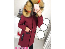 2850� 42,44,46,48,50 ���� 3.jpg