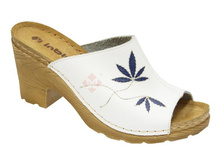 ZAS4PT chips �����.jpg