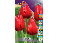 194,7 ���.������� ����� (���������� ����������. � �������� 10��. ���� ������� �� ��������) �������� 2 ����..jpg